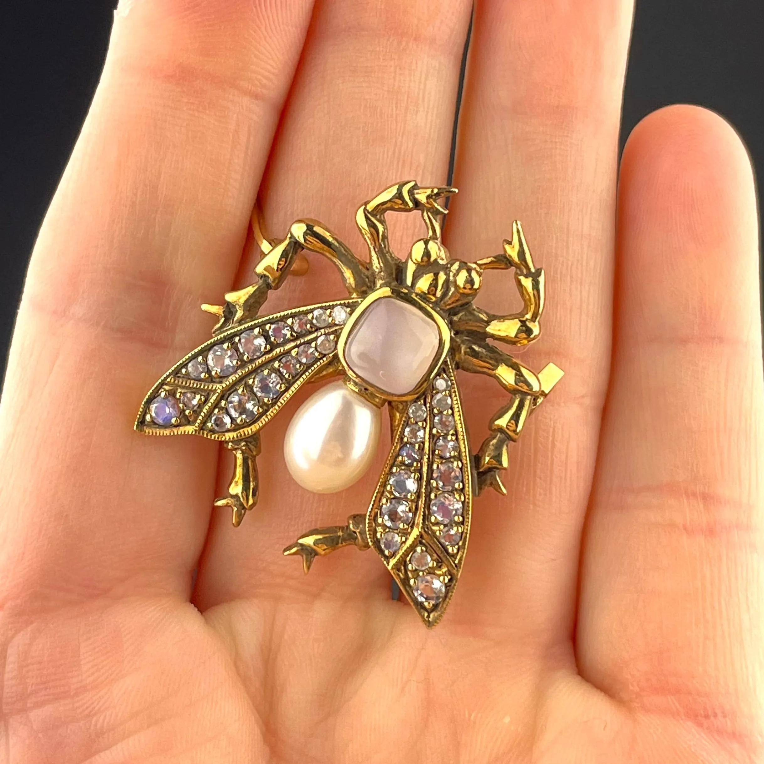Art Deco Pearl Moonstone Bug Brooch Pin