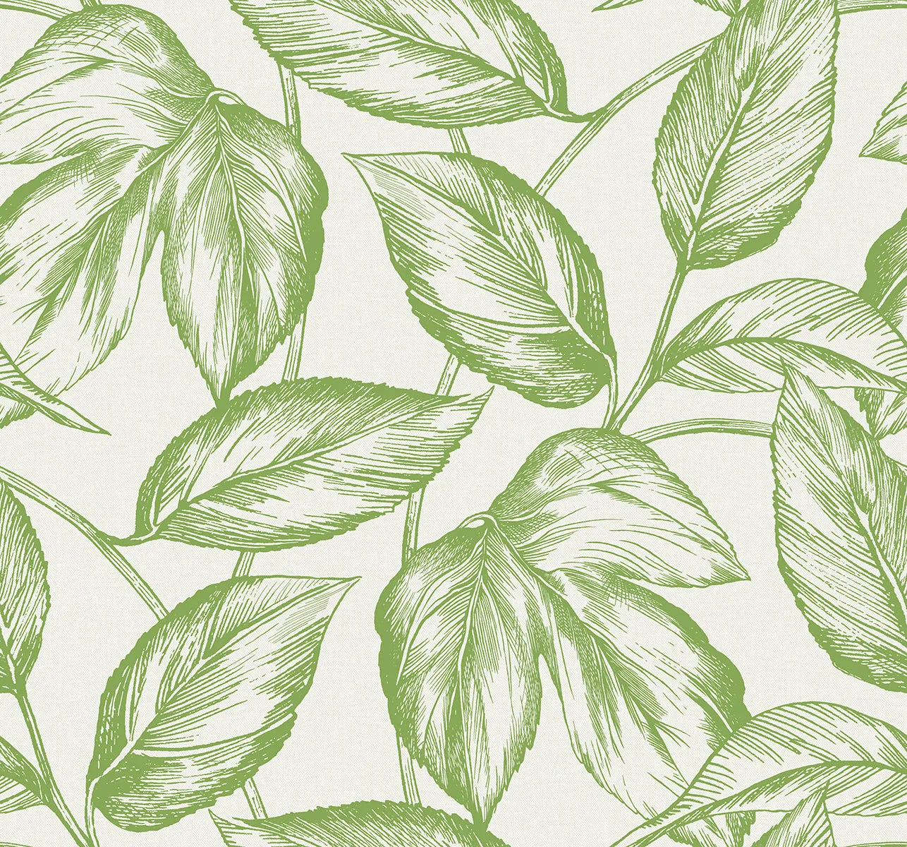 Beckett Sketched Leaves Wallpaper in Apple Green