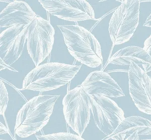 Beckett Sketched Leaves Wallpaper in Baby Blue
