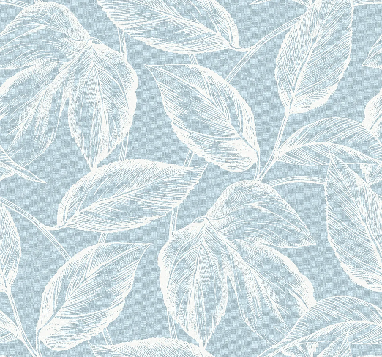 Beckett Sketched Leaves Wallpaper in Baby Blue