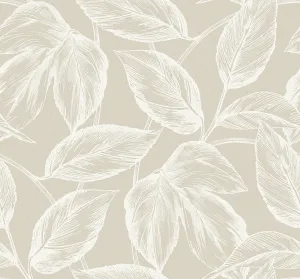 Beckett Sketched Leaves Wallpaper in Oat