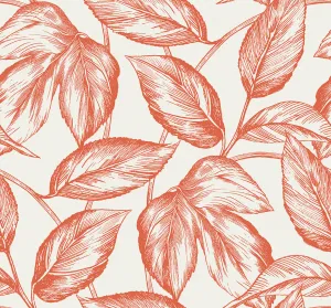 Beckett Sketched Leaves Wallpaper in Rich Coral
