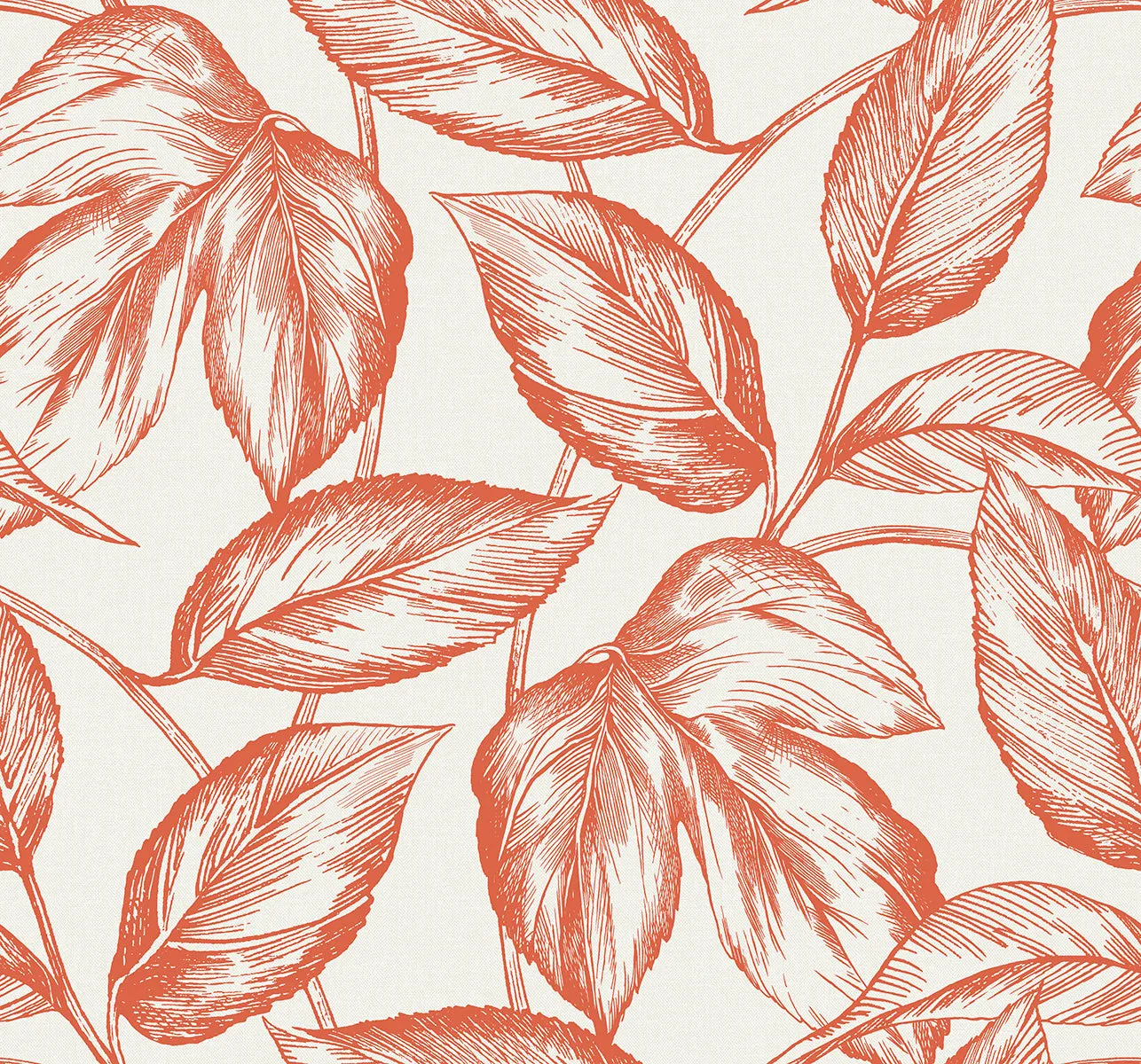 Beckett Sketched Leaves Wallpaper in Rich Coral