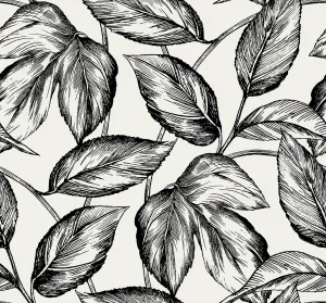 Beckett Sketched Leaves Wallpaper in Volcanic Black