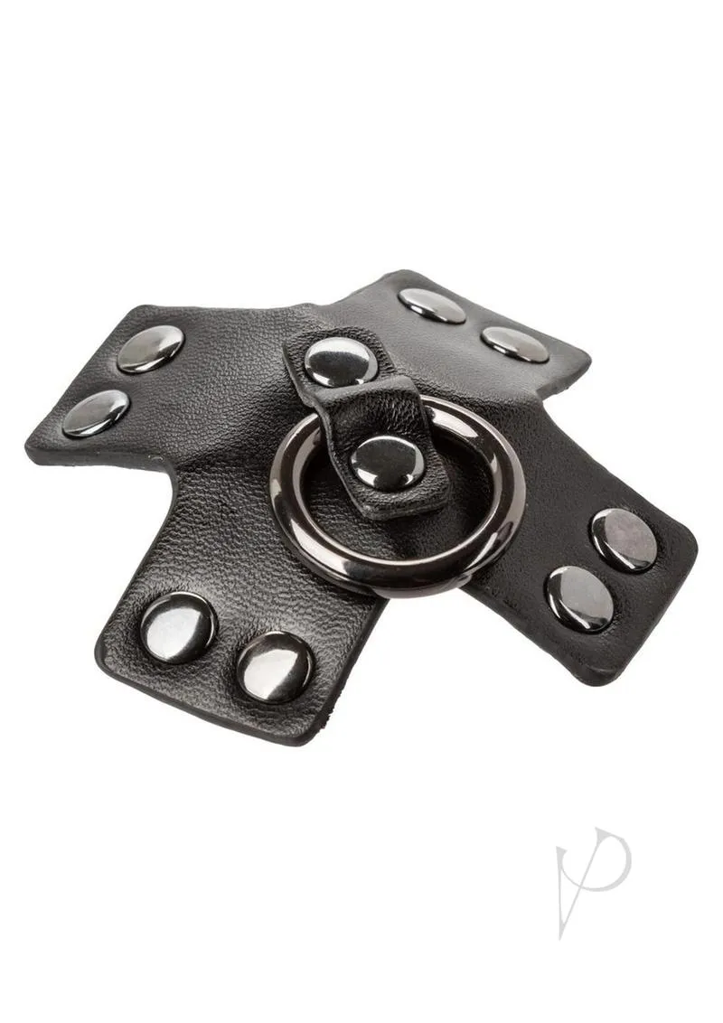 Euphoria Coll Oring Pasties