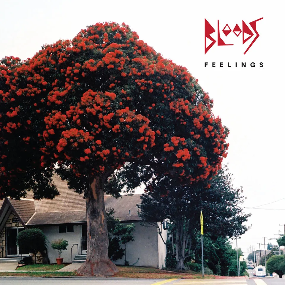 Feelings (Vinyl)