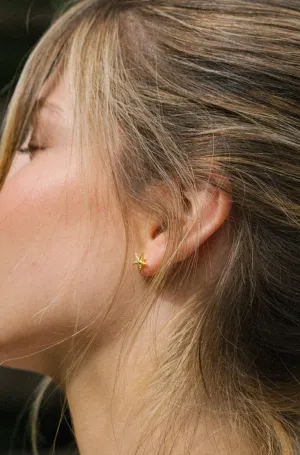 Gold Vermeil Starfish Studs