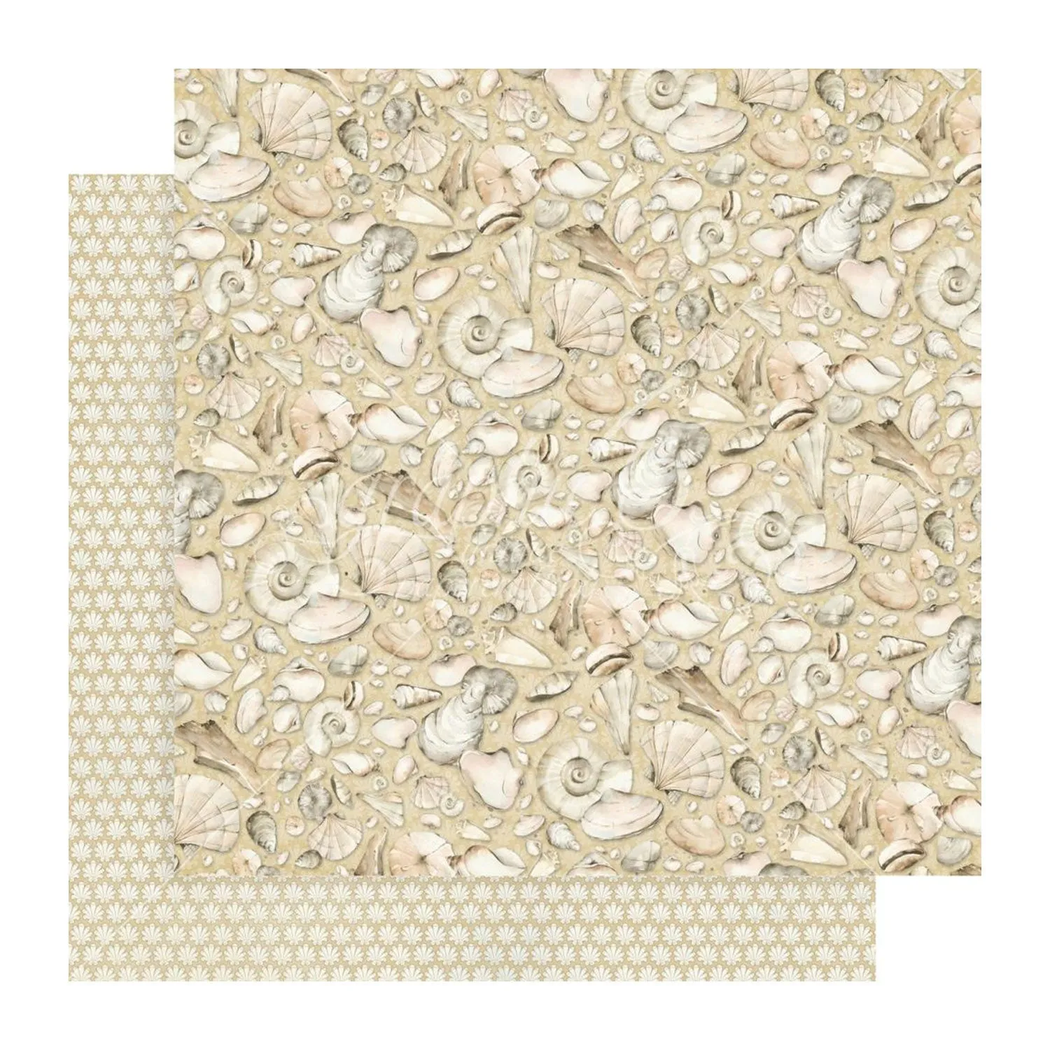 Graphic 45 The Beach Is Calling Double-Sided Cardstock 12"x 12" - Every Seashell Has A Story