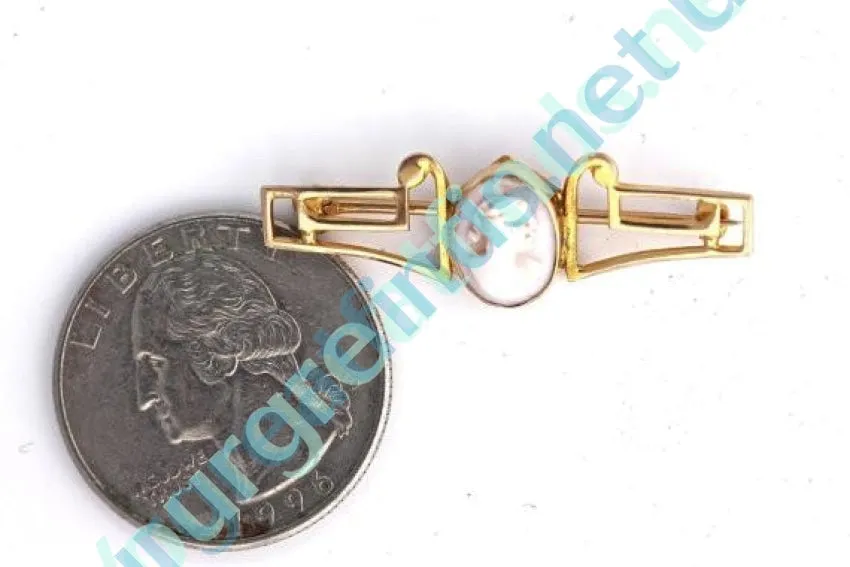 Pink Conch Shell 10k Gold Cameo Bar Pin