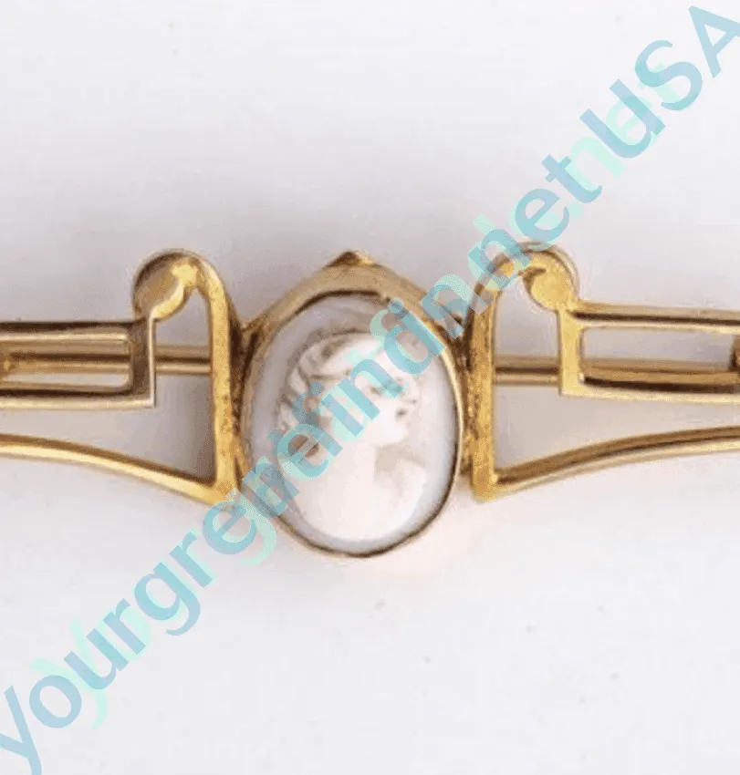 Pink Conch Shell 10k Gold Cameo Bar Pin